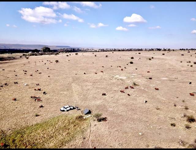 FARM FOR SALE IN HEILBRON